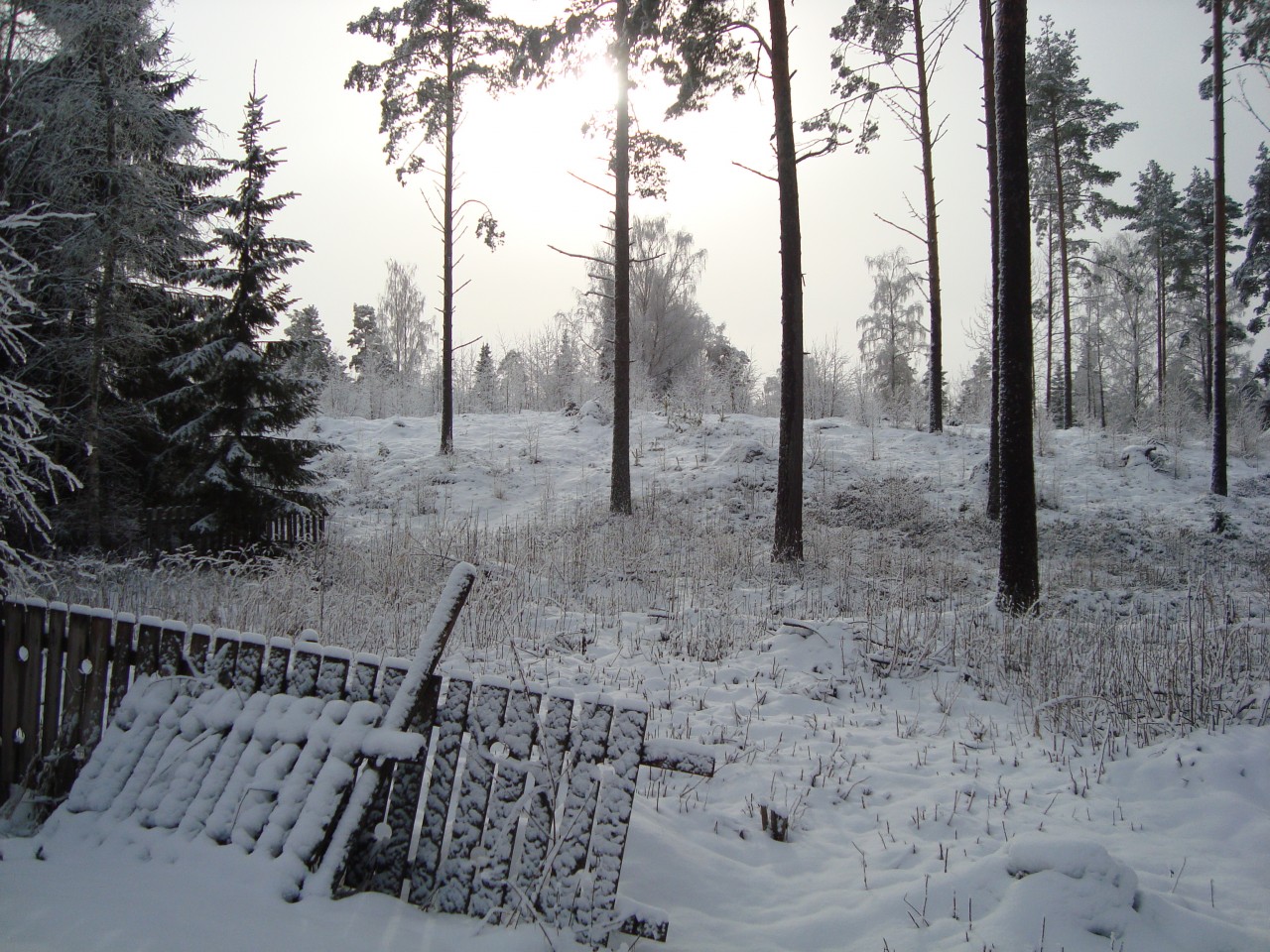 home garden wooden fence