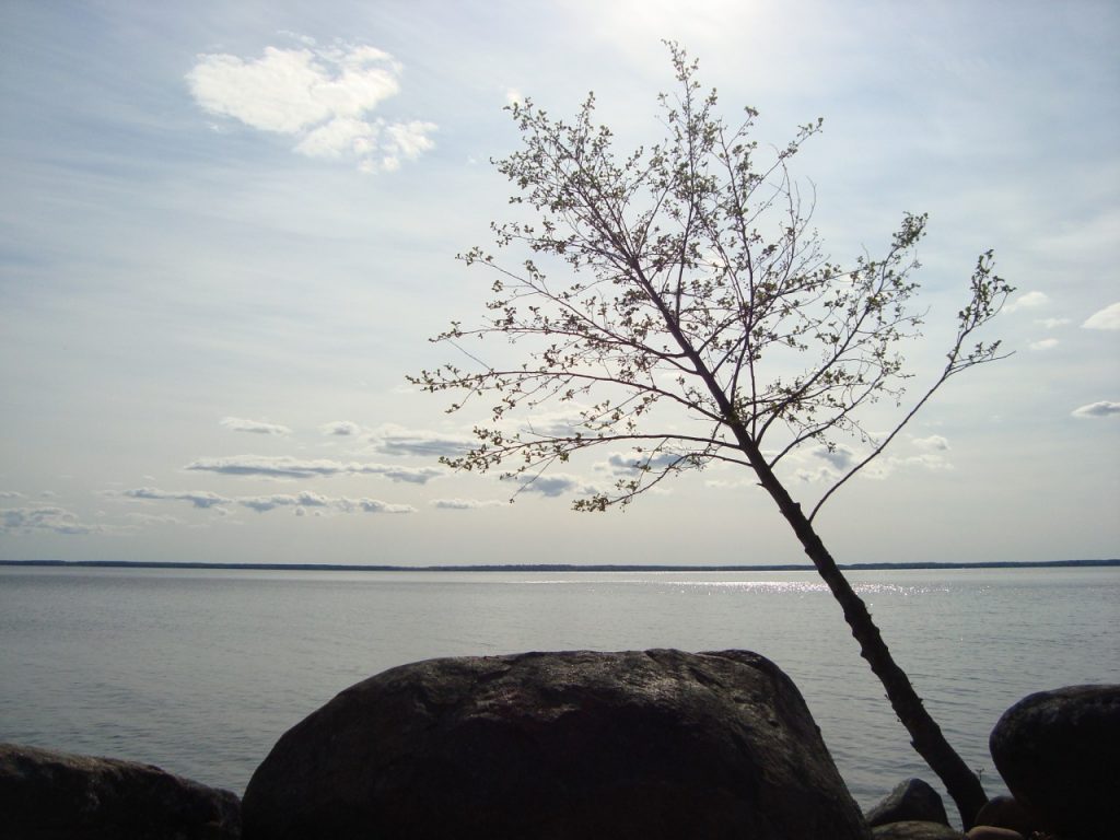 Pyhäjärvi