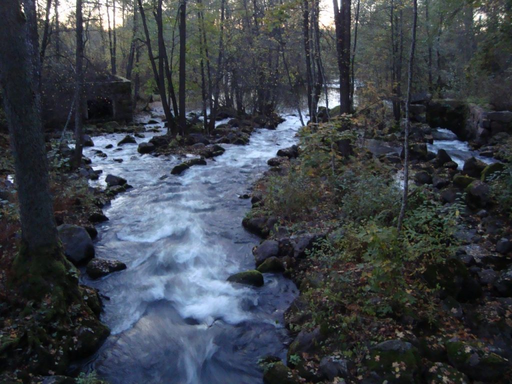 Kauttuankoski