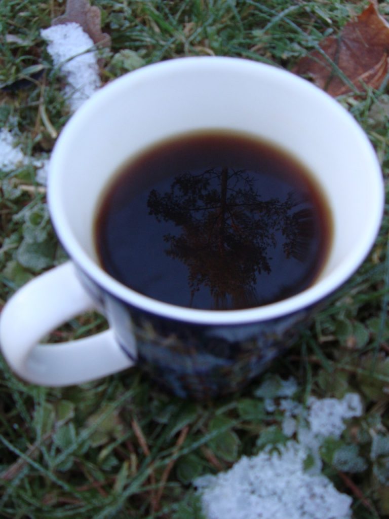 morning coffee owl