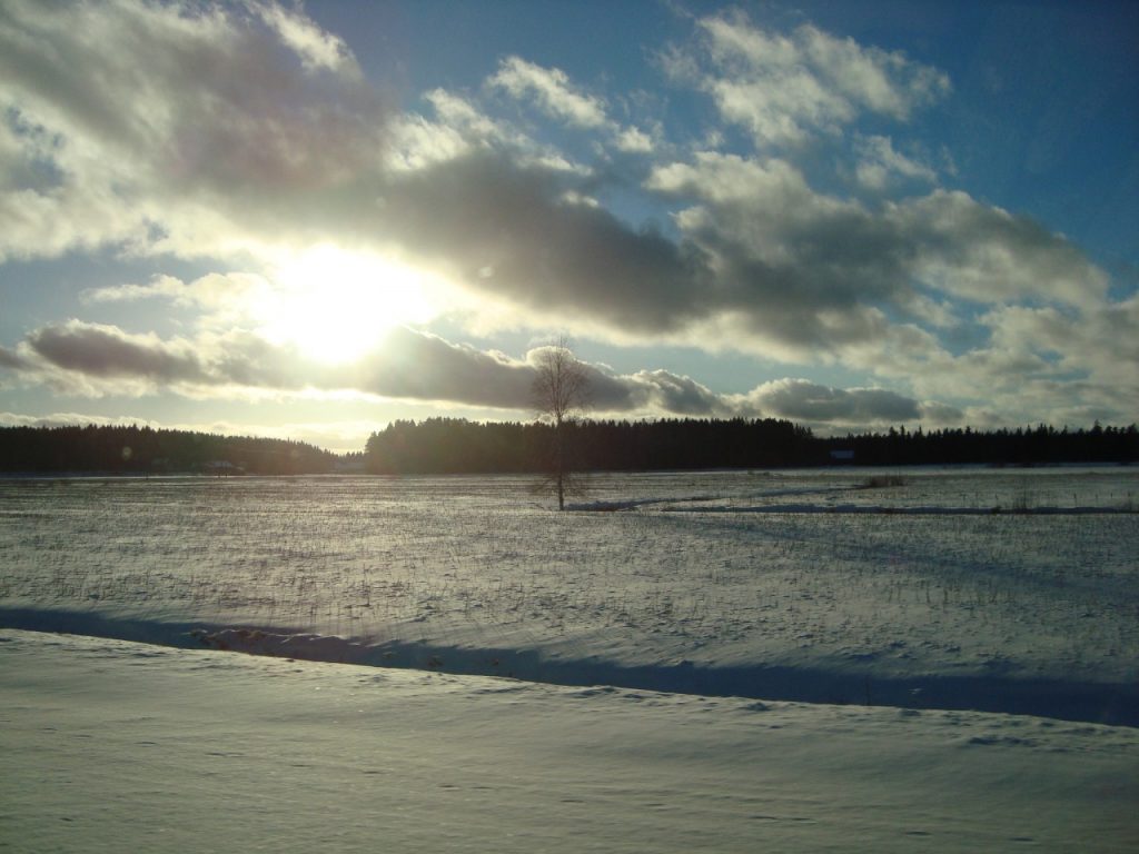 February field on a car ride