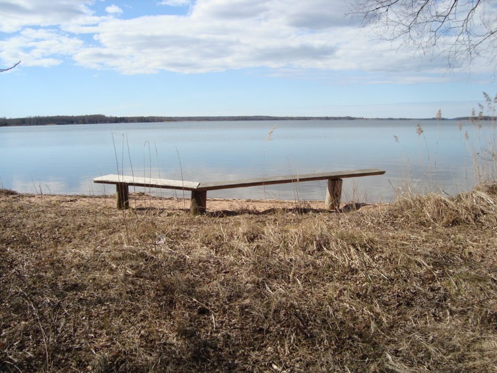 lake Köyliönjärvi