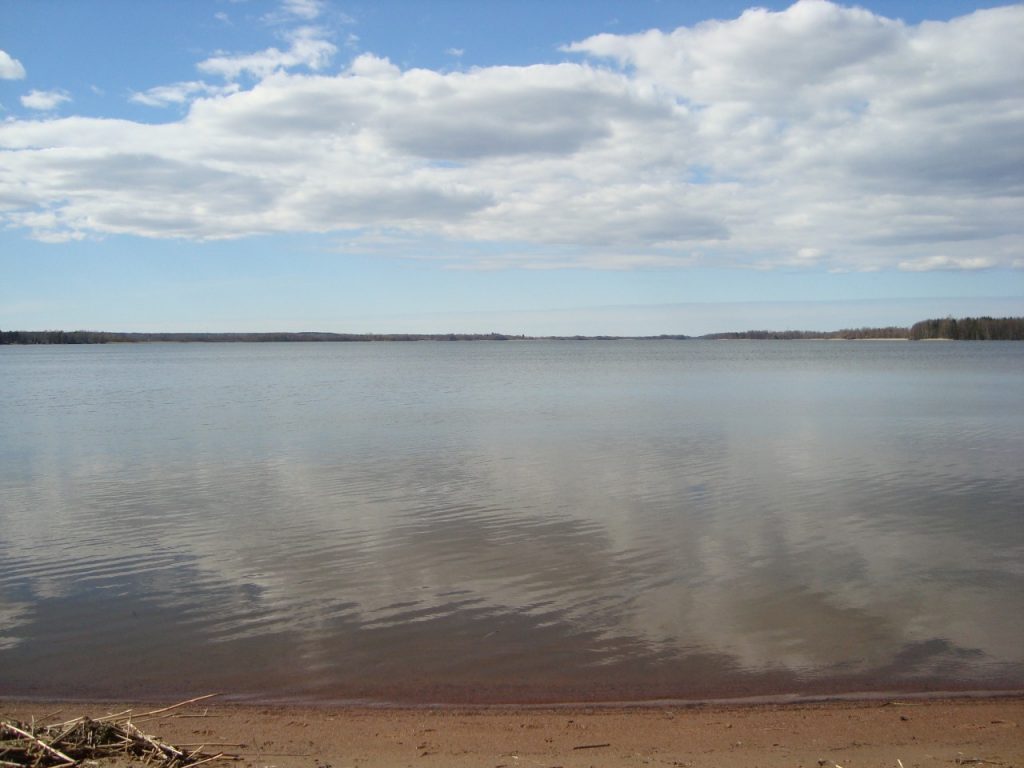 lake Köyliönjärvi