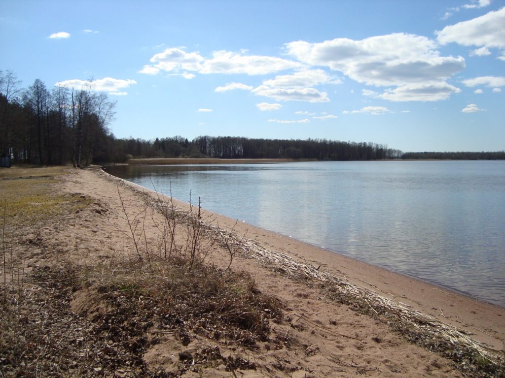 lake Köyliönjärvi