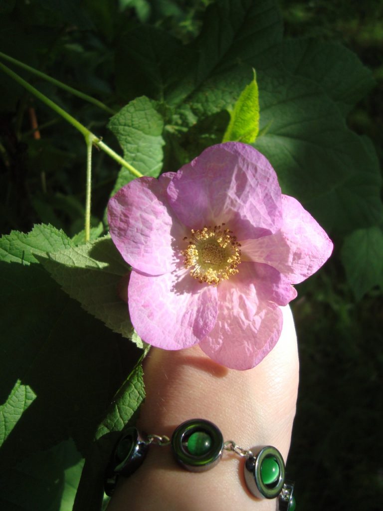 purple-flowering raspberry