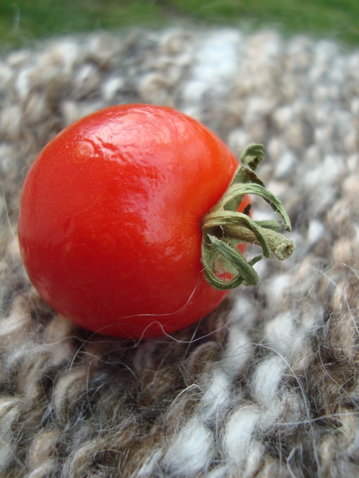 November tomato