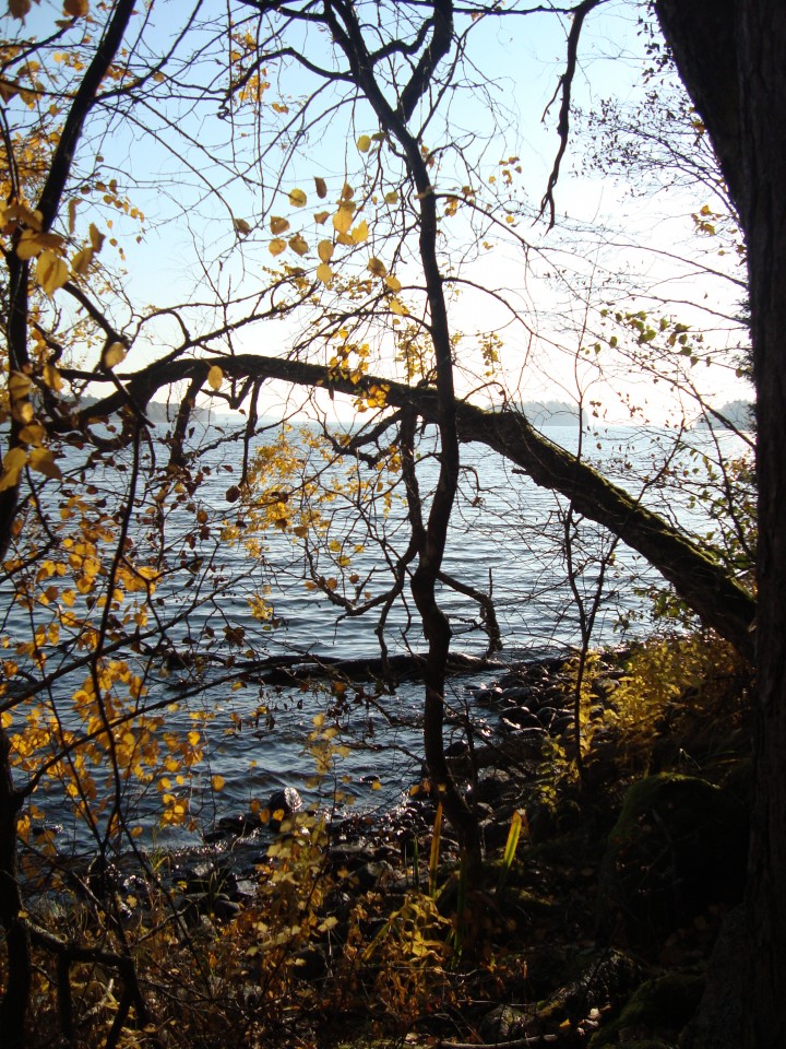 by the lake Pyhäjärvi