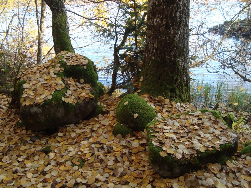 by the lake Pyhäjärvi