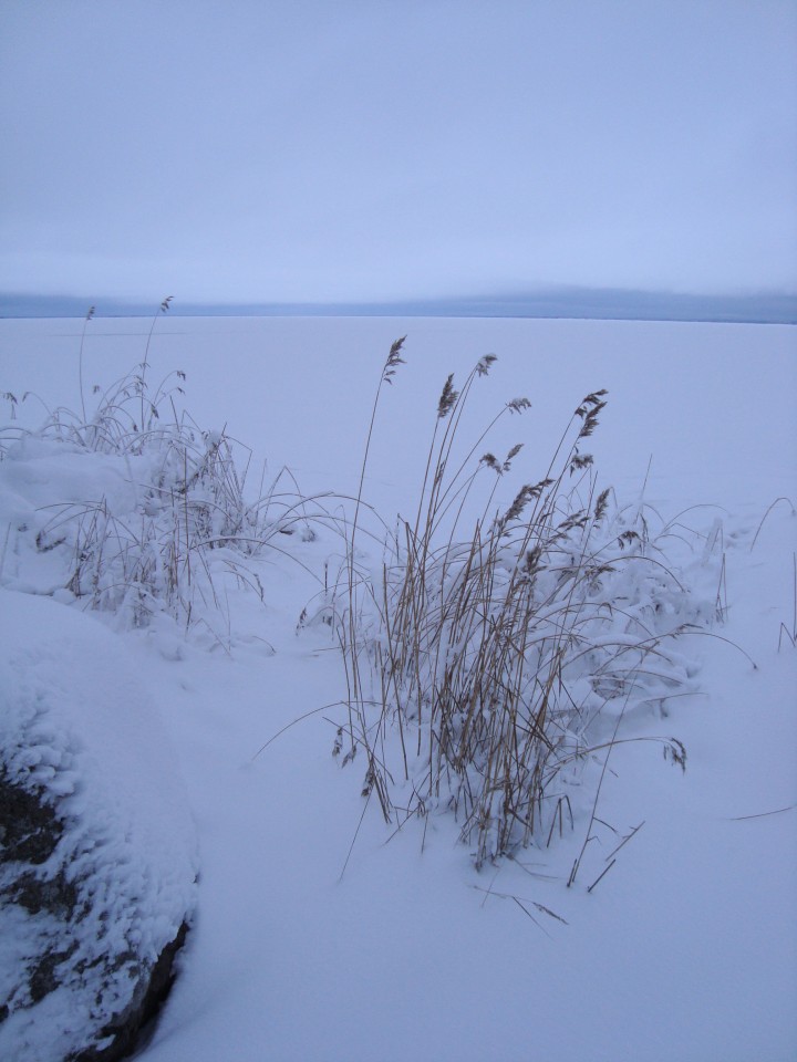 lake Pyhäjärvi, January