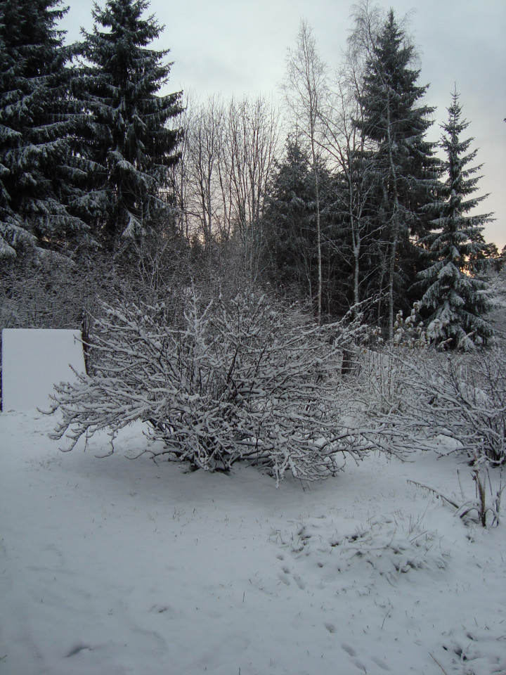 November
