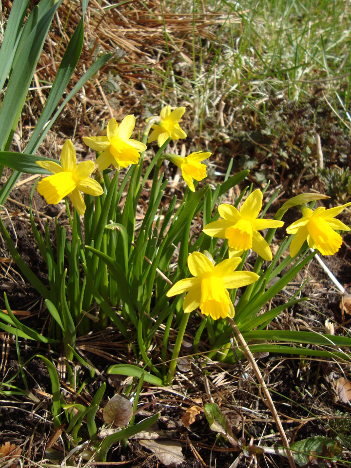 April